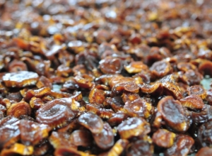 Cách bảo quản sản phẩm hồng sâm